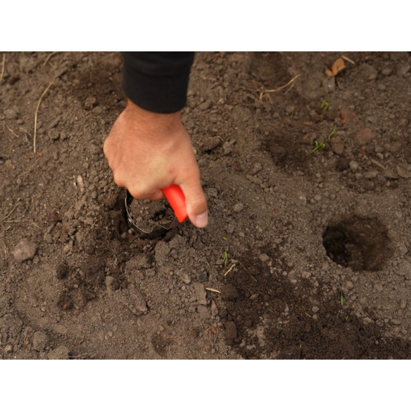 SADZARKA DO CEBULEK NIERDZEWNA YT-88750