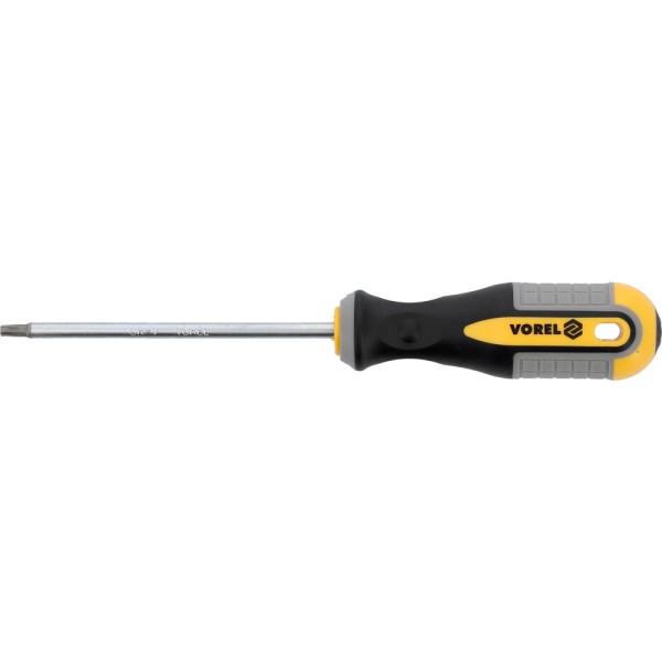 WKRĘTAK TORX  T20X100 MM CRV 60887