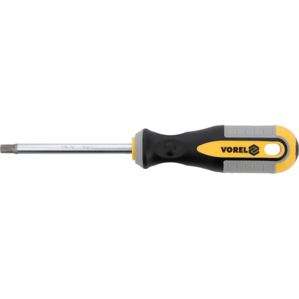 WKRĘTAK TORX  T40X100 MM CRV 60891