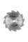 TARCZA WIDIOWA DO DREWNA 170X12TX16MM YT-60582