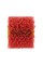 SZCZOTKA DO SATYNIARKI PCV 120X00X19MM DO RENOWACJI DREWNIANYCH TARASÓW YT-81954